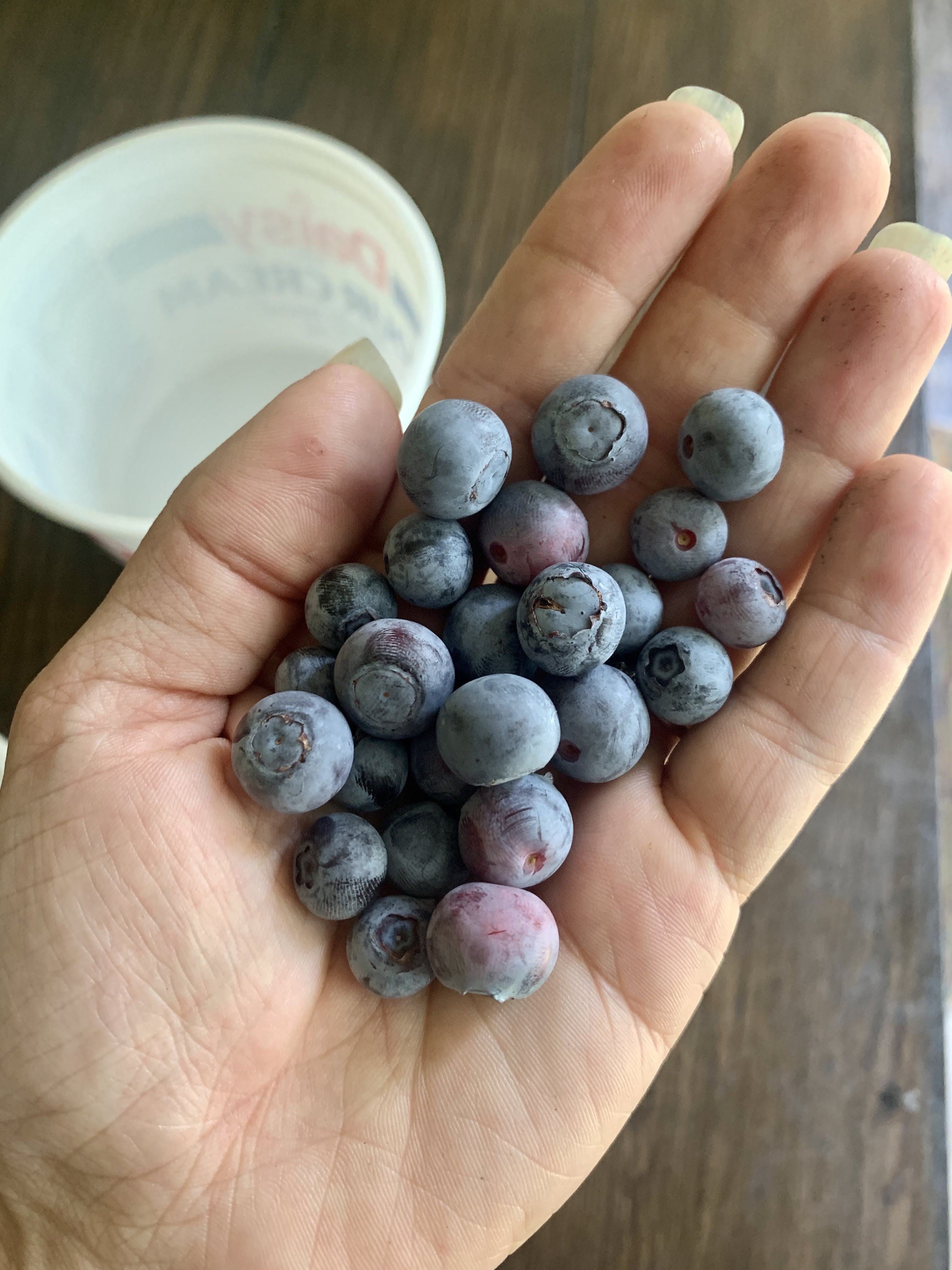 Harvest 2022